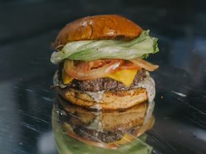 Cheese Salad Burger